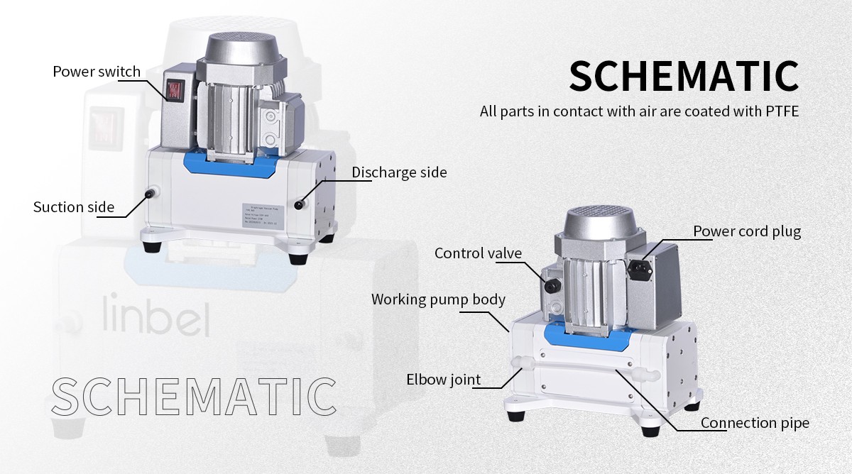 Diaphragm vacuum pump