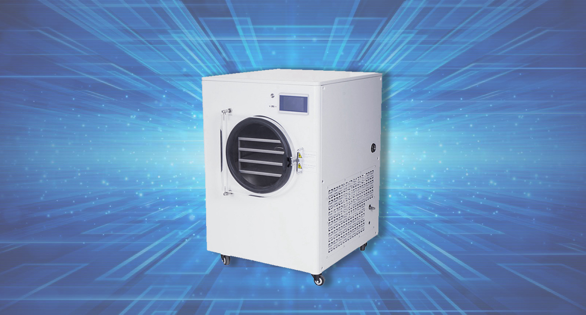 Can freeze-dried fruits and vegetables replace fresh fruits for edible?